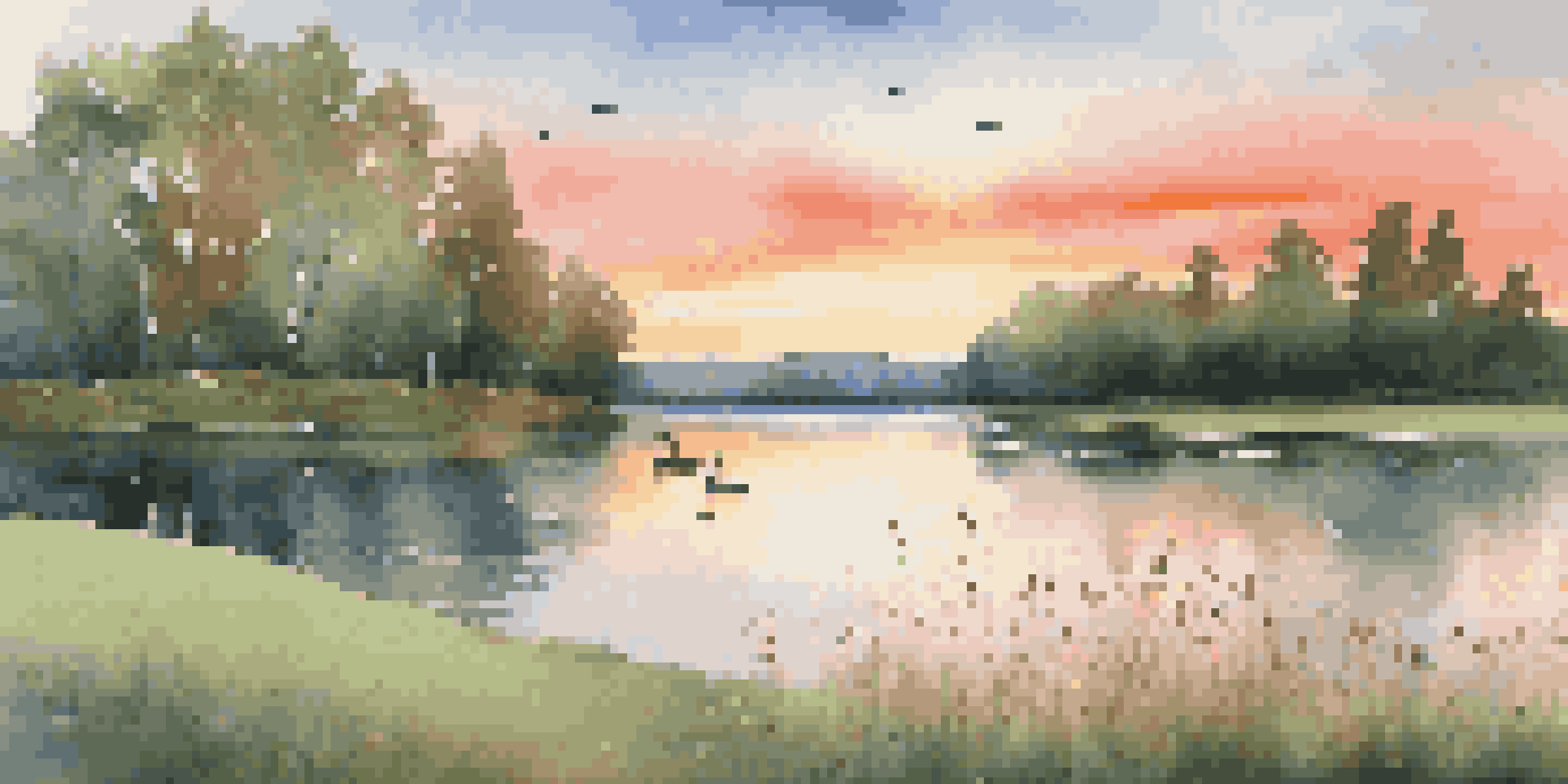 A tranquil lake at sunset with colorful reflections, surrounded by green grass and wildflowers, with ducks floating on the water.