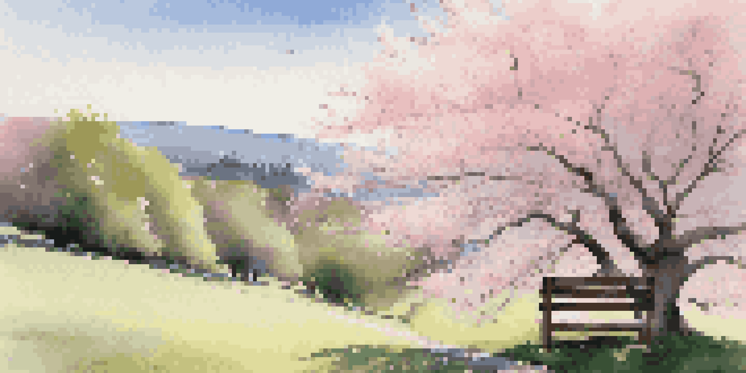A peaceful landscape with a green hill, a blue sky, fluffy clouds, and a cherry blossom tree with falling petals, featuring a wooden bench.