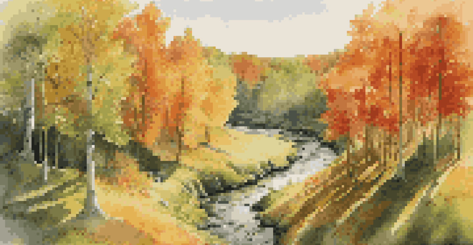 An overhead view of a forest in autumn with colorful foliage and a winding river.