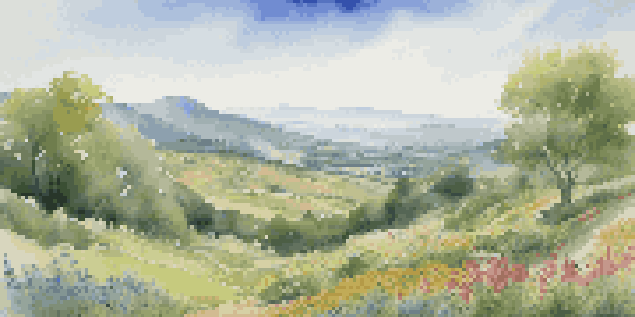 A vibrant green valley with blooming wildflowers and gentle hills under a blue sky, representing market growth.