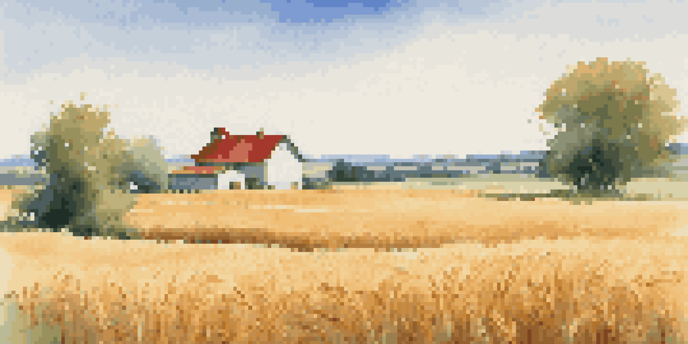 A peaceful scene of a golden wheat field with a red-roofed farmhouse in the distance under a clear blue sky.