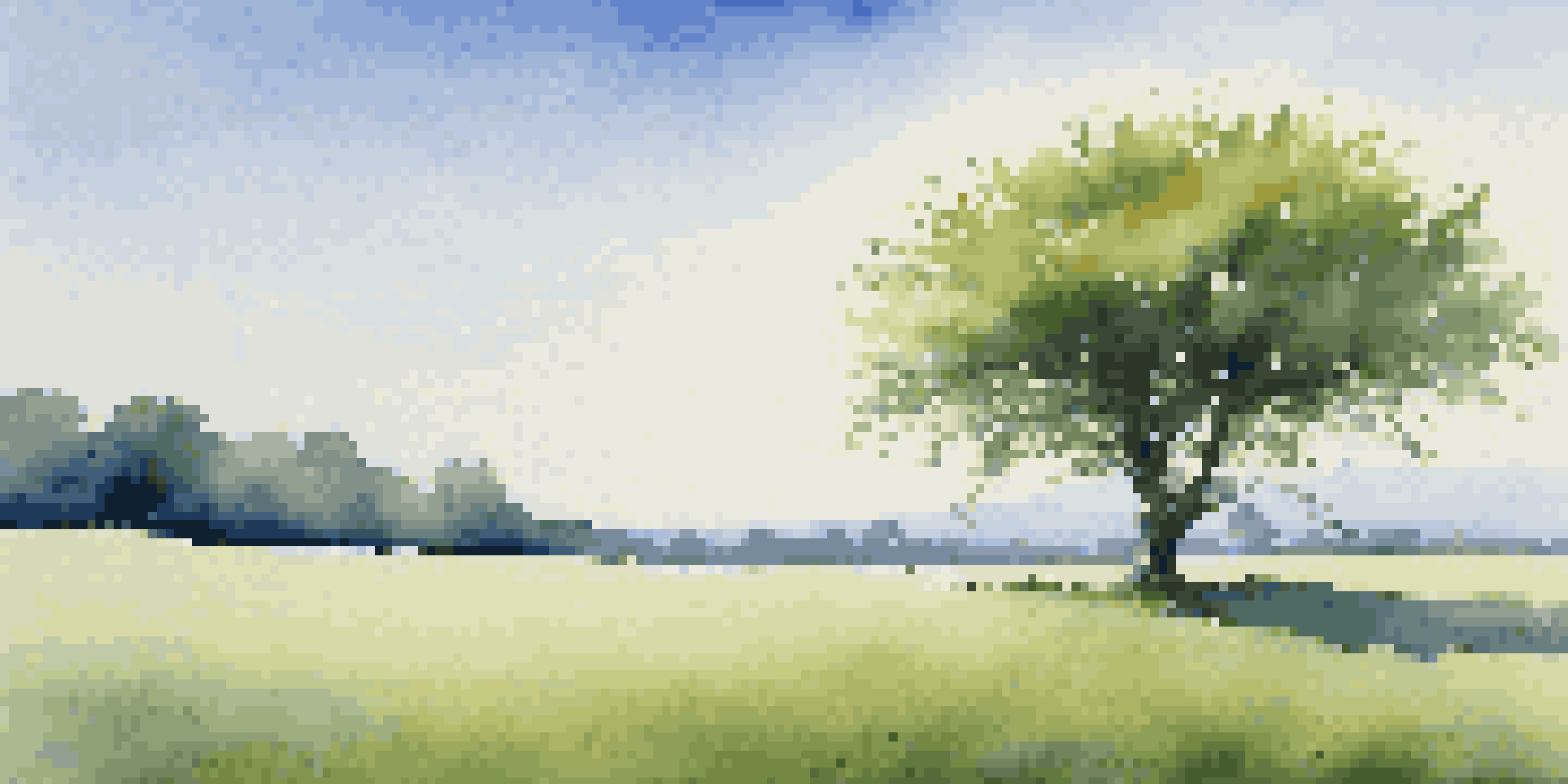 A single strong tree in a green field under a blue sky, representing the concept of long-term investing.