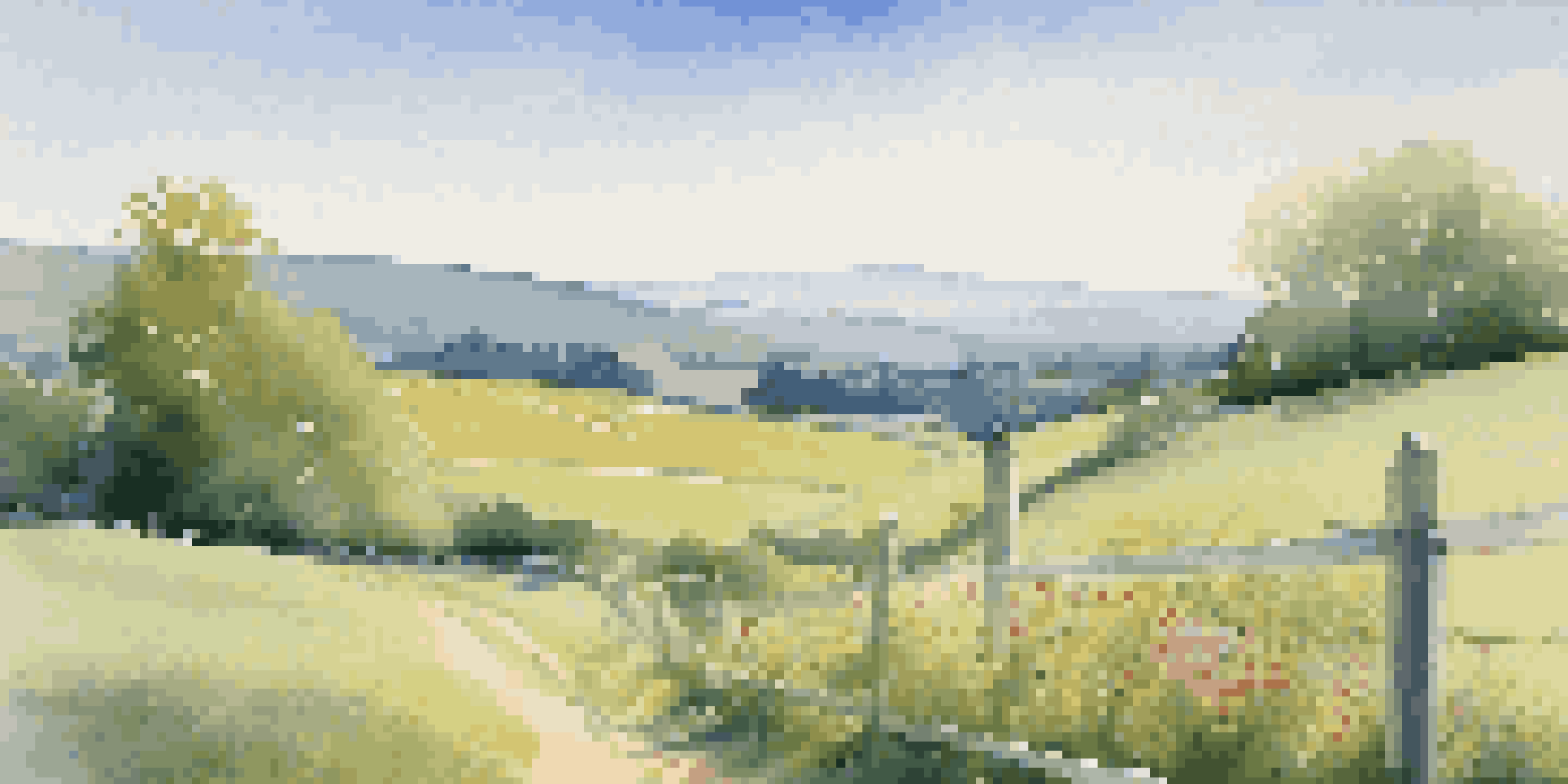 A picturesque field with rolling hills, wooden fence, and colorful wildflowers under a blue sky.