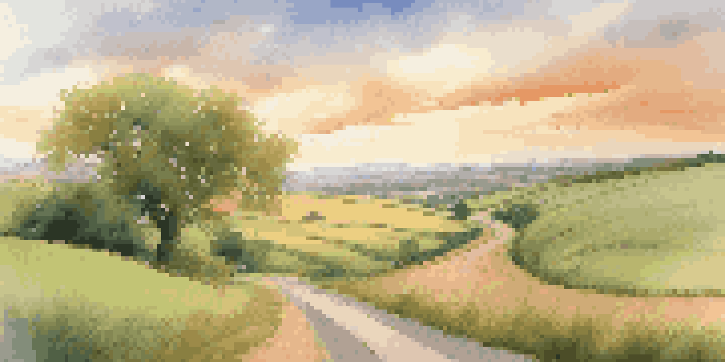 A peaceful landscape with a winding road and a tree, symbolizing the journey towards retirement.