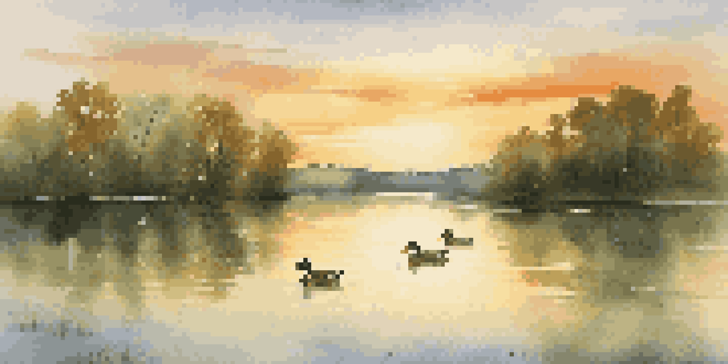 A peaceful lake scene with a sunset, surrounded by green trees and ducks swimming.