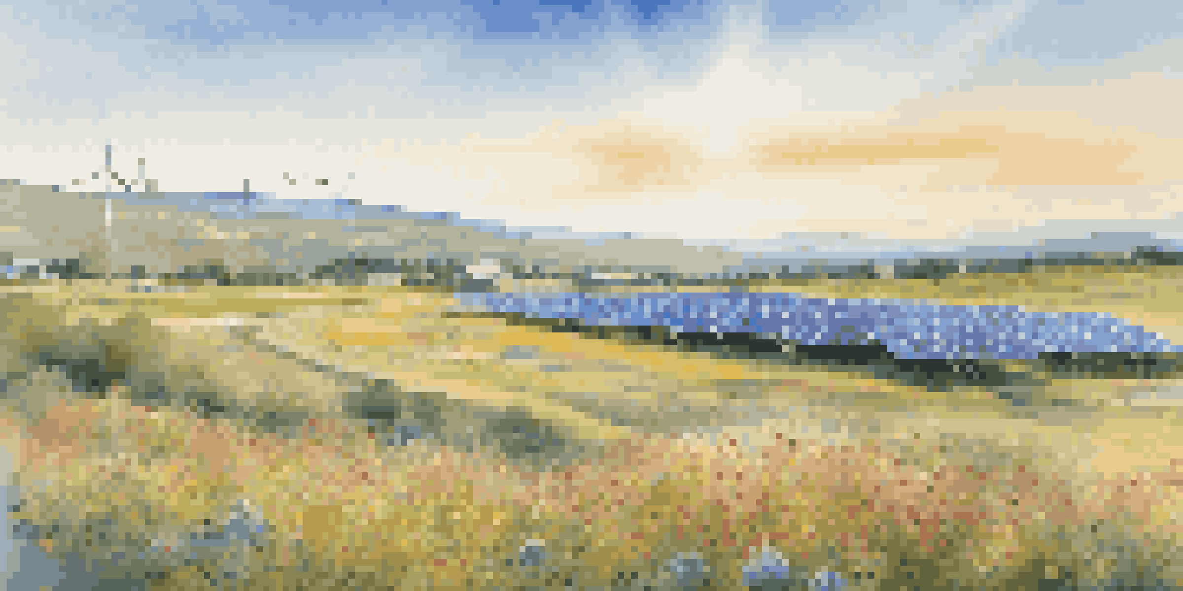 A sunny landscape with a solar farm, wildflowers in the foreground, and wind turbines in the distance.