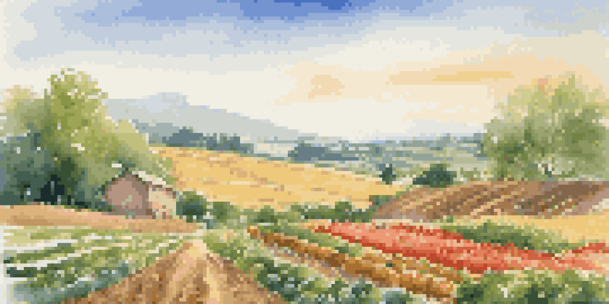 A farmer's field with various crops under a clear blue sky, showcasing diverse vegetation and a peaceful landscape.