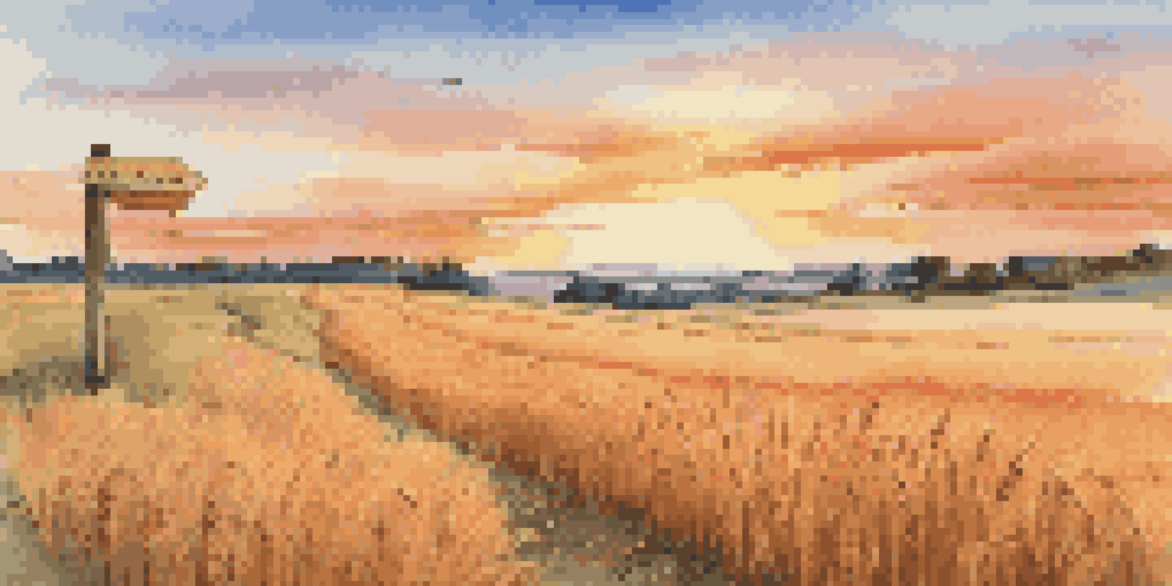 A golden wheat field with a sunset in the background and a wooden signpost indicating investment options like commodities, real estate, and stocks.