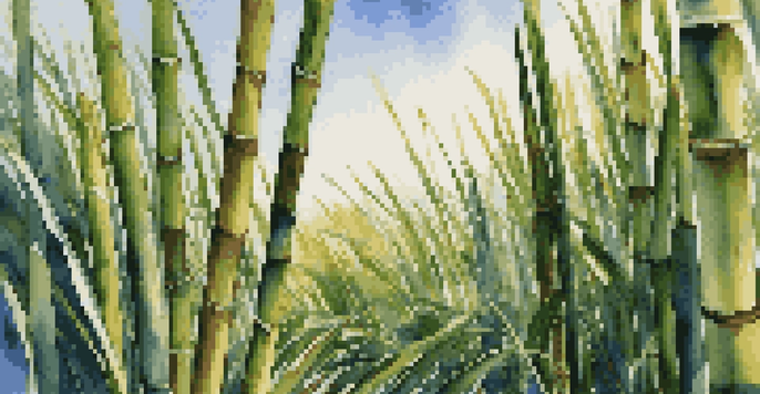 Close-up view of sugar cane stalks in a green field under a blue sky.
