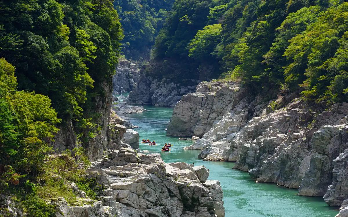Scenic river gorge with turquoise water, limestone cliffs, and dense green forest vegetation