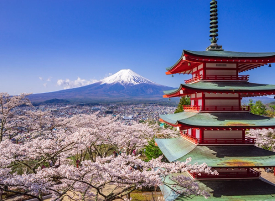 Taste of Japan: Step into the Tokai Region!