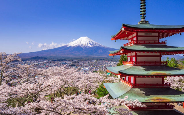 Taste of Japan: Step into the Tokai Region!