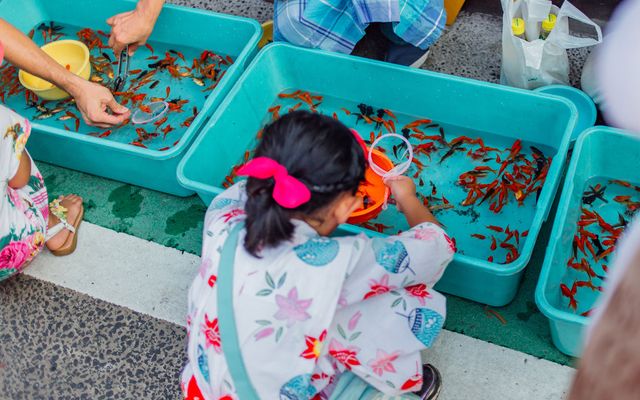 Summer Festival in Japan: What to Eat and What to See