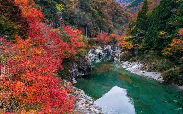Japanese Local Fair: Welcome to Ehime and Shikoku!