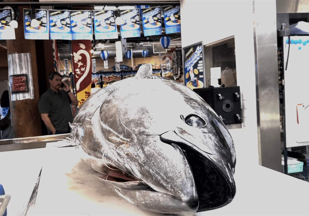 Watch Bluefin Tuna Cutting Show Video!