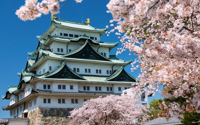 Japanese Fair: Tokai Fair 2026