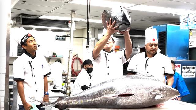 Watch Bluefin Tuna Cutting Show Video!