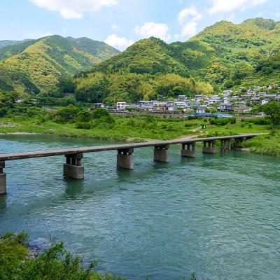 Taste of Japan: Find Local Food at Shikoku Fair!
