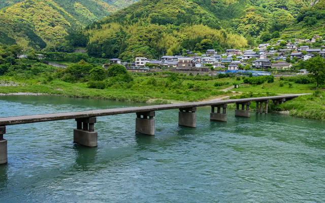 Taste of Japan: Find Local Food at Shikoku Fair!