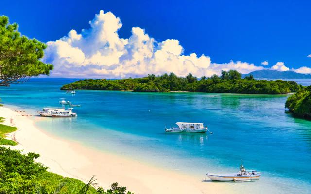 Japanese Fair: Okinawa Fair 2025