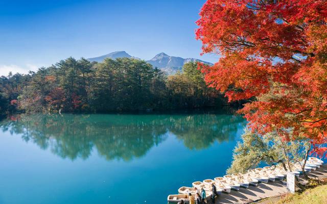 Japanese Fair: Tohoku Fair 2025