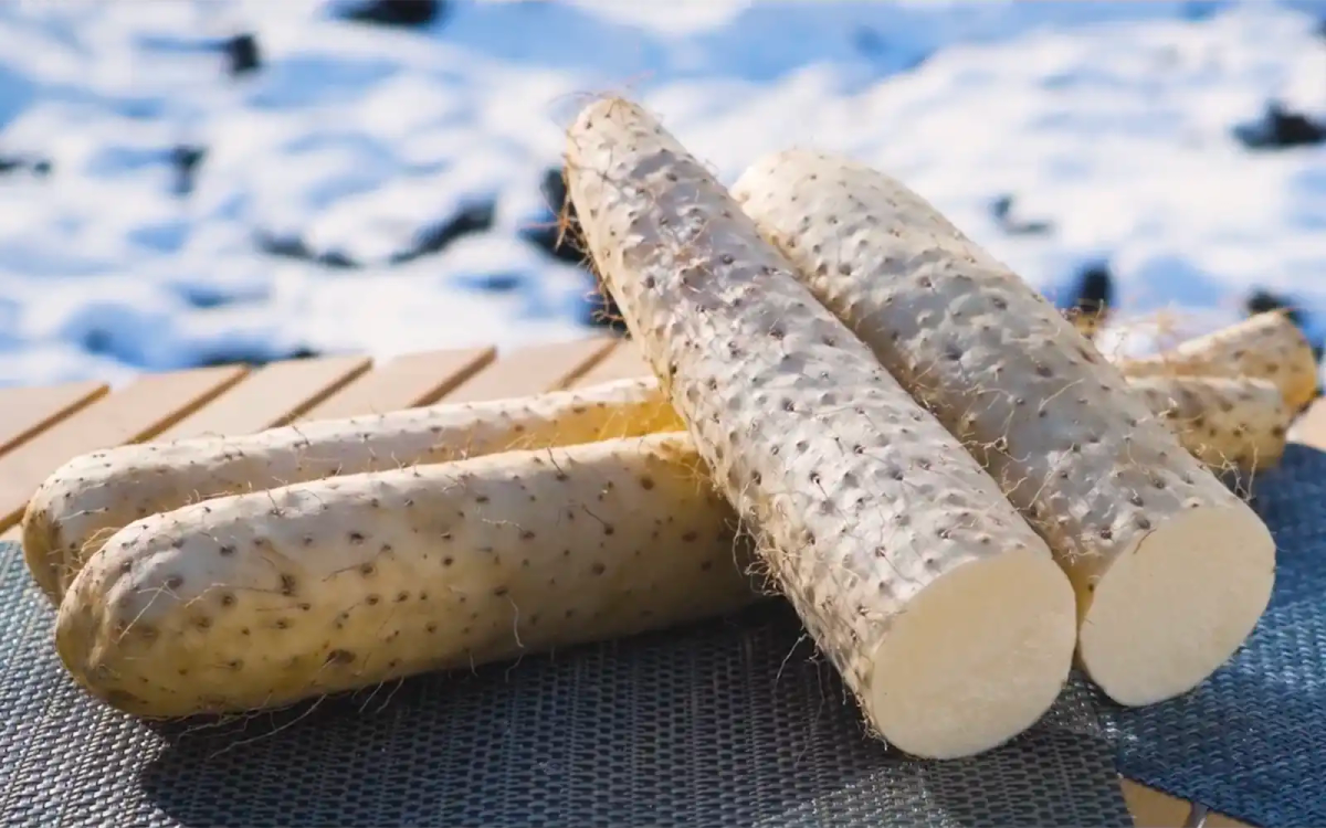 Daikon radish roots cut in half on blue surface with water droplets