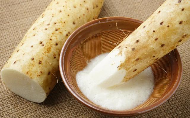 Nagaimo from Aomori! Demo + Recipe