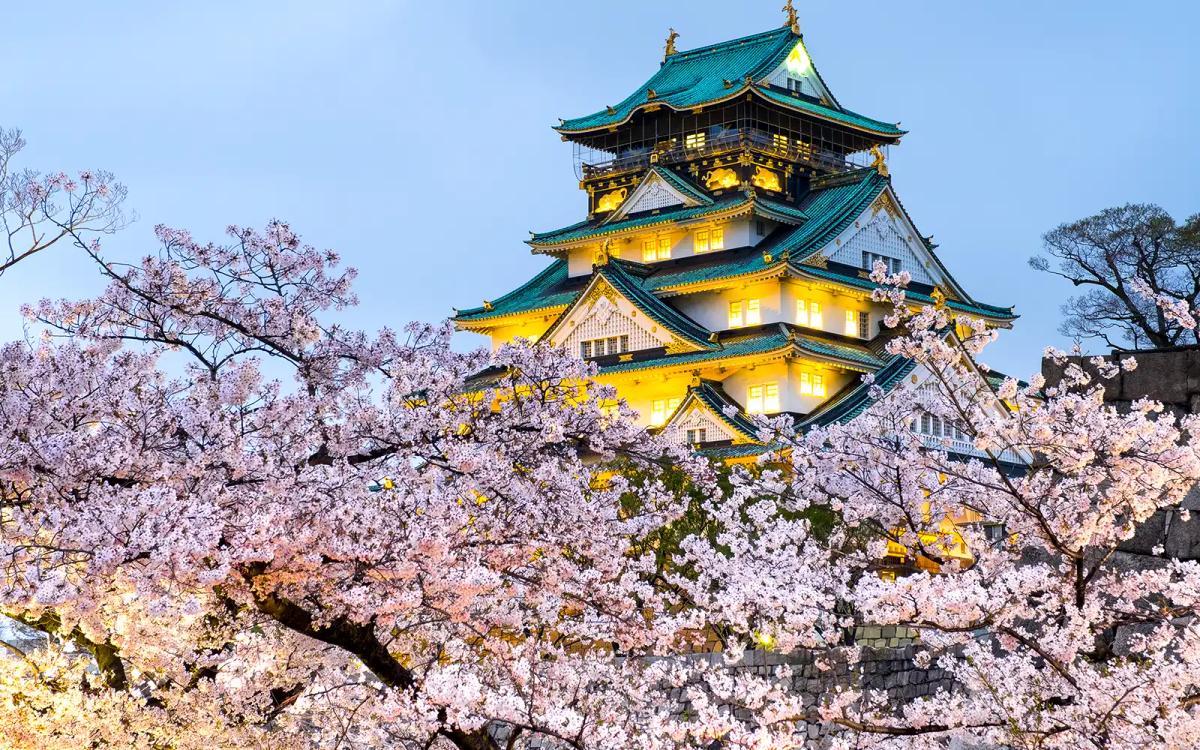 Osaka Castle illuminated at dusk surrounded by blooming cherry blossoms