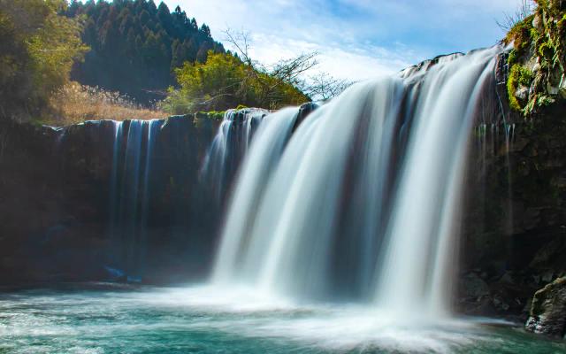 Japanese Local Fair: Welcome to Kyushu Fair 2025!