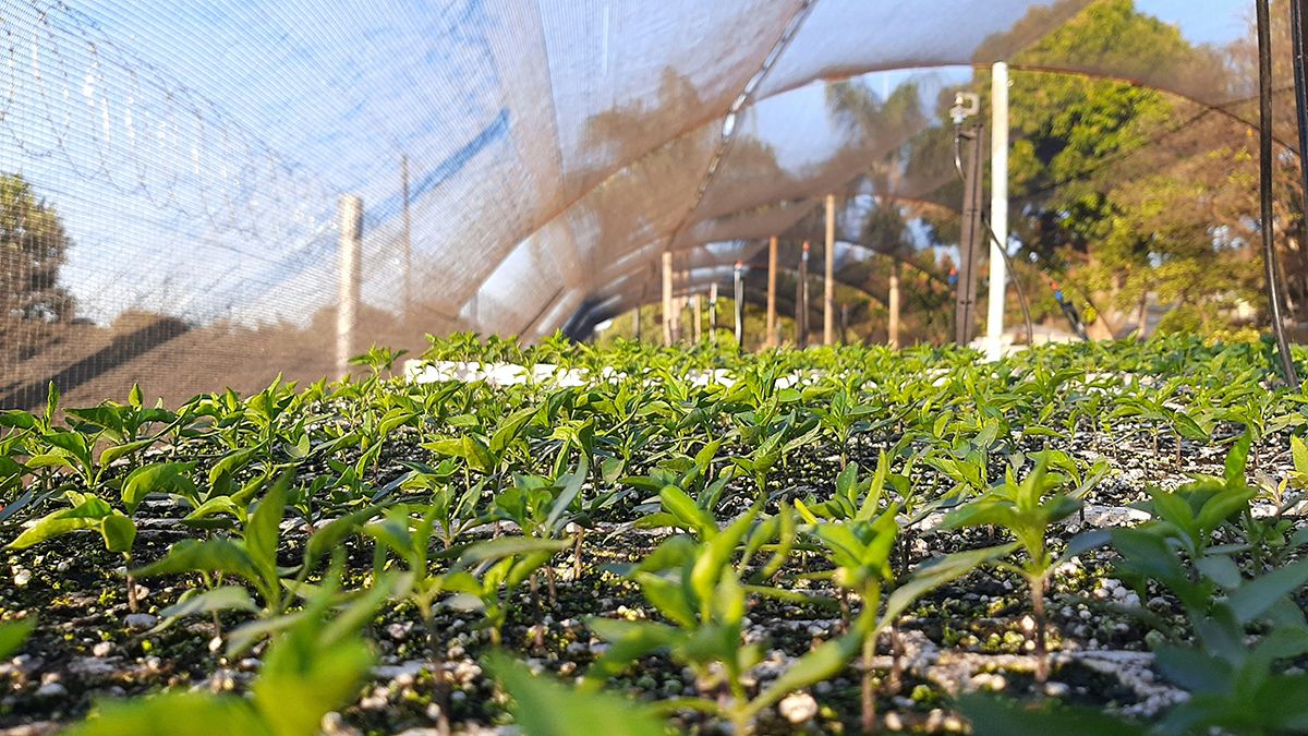 Why Is Water Conservation Important For Sustainable Living?