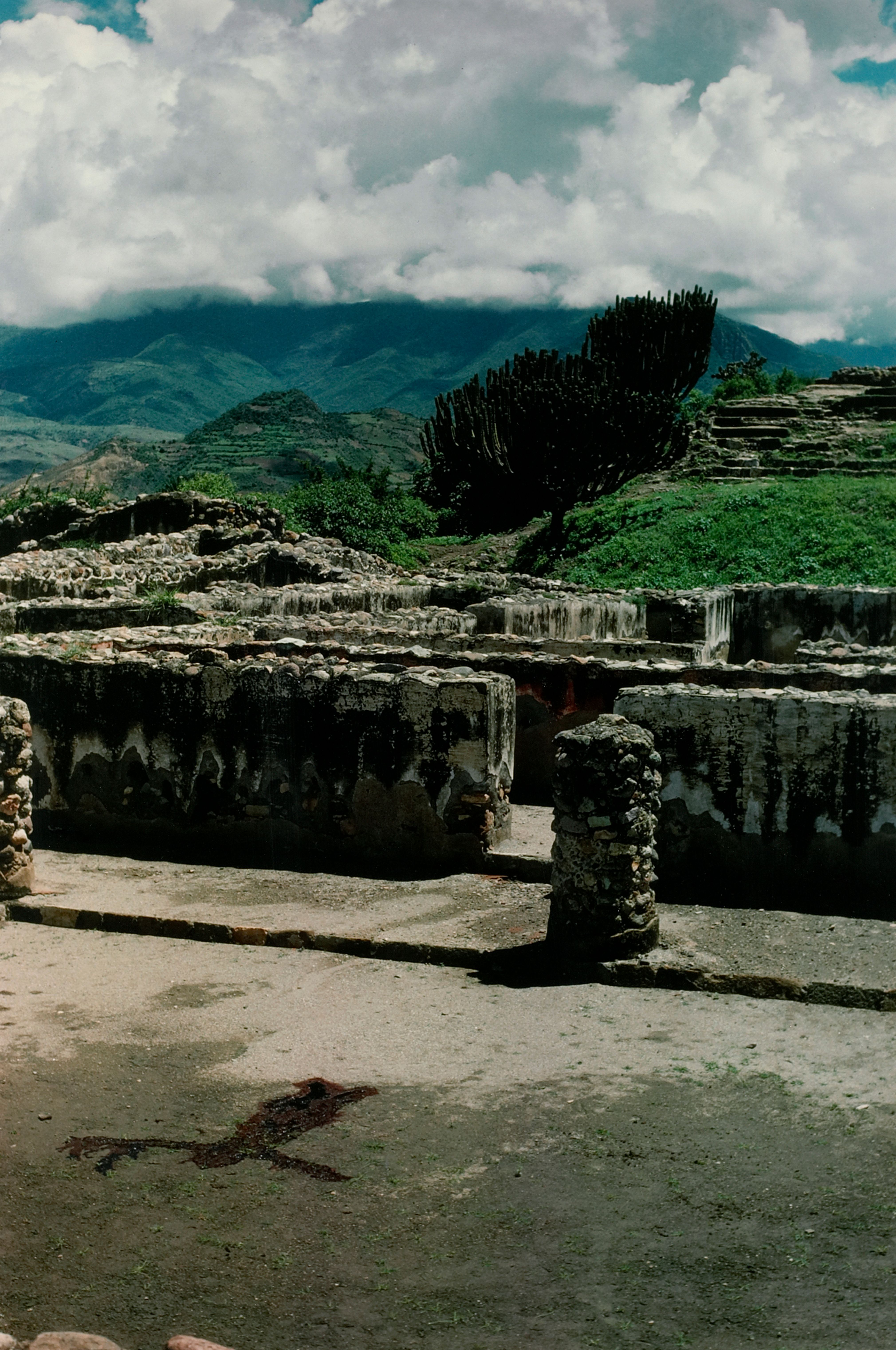 Silueta Works in Mexico