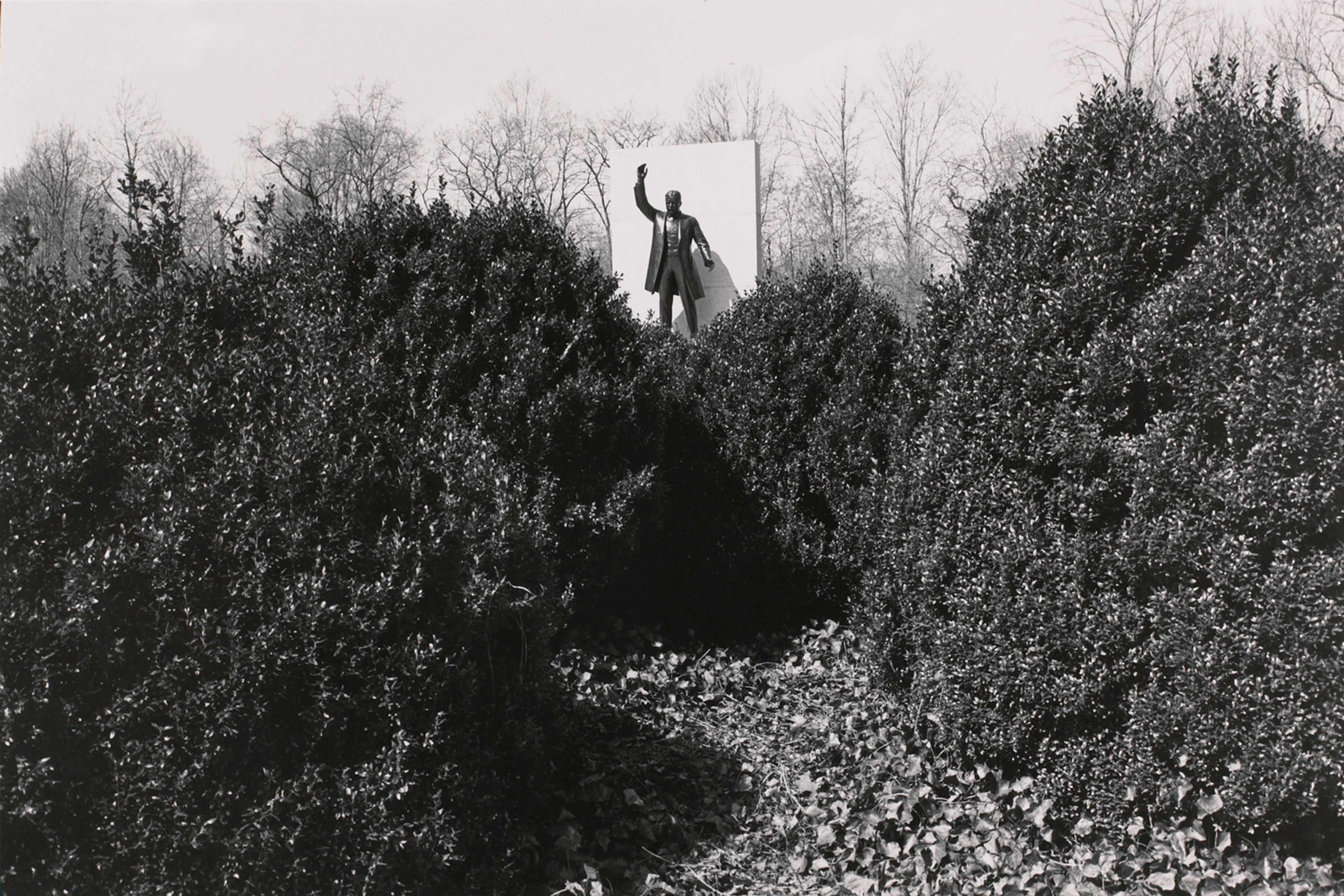 Theodore Roosevelt. Roosevelt Island, Washington, D. C.