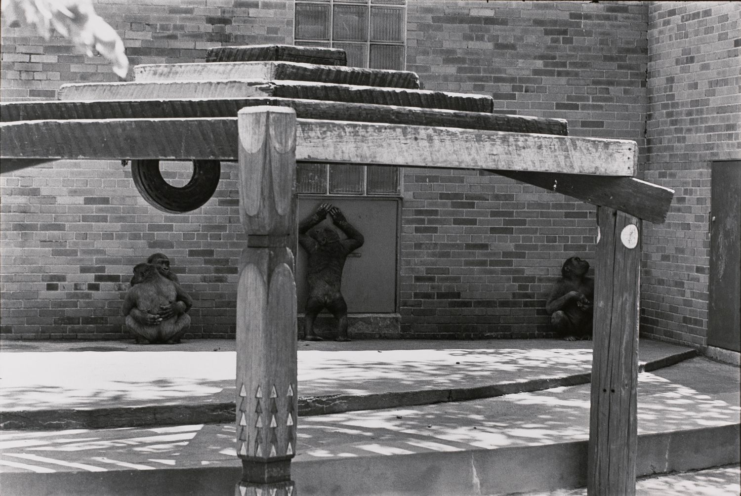Untitled (Apes against the wall)