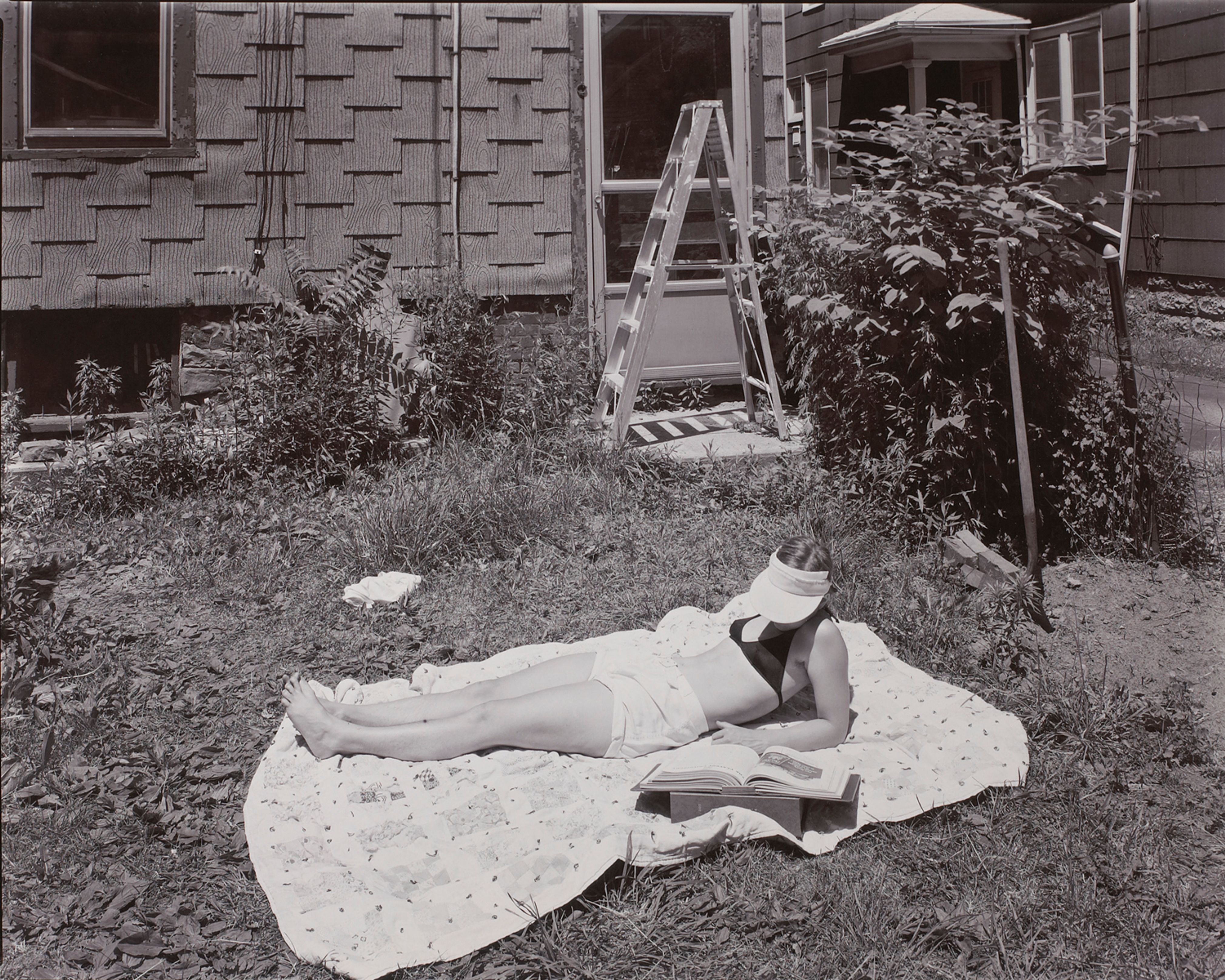 M. Rochester Back Yard