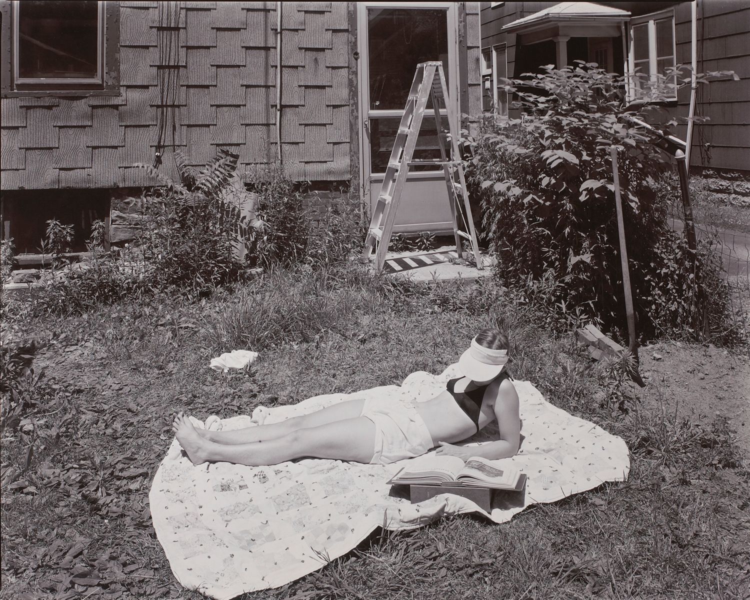 M. Rochester Back Yard