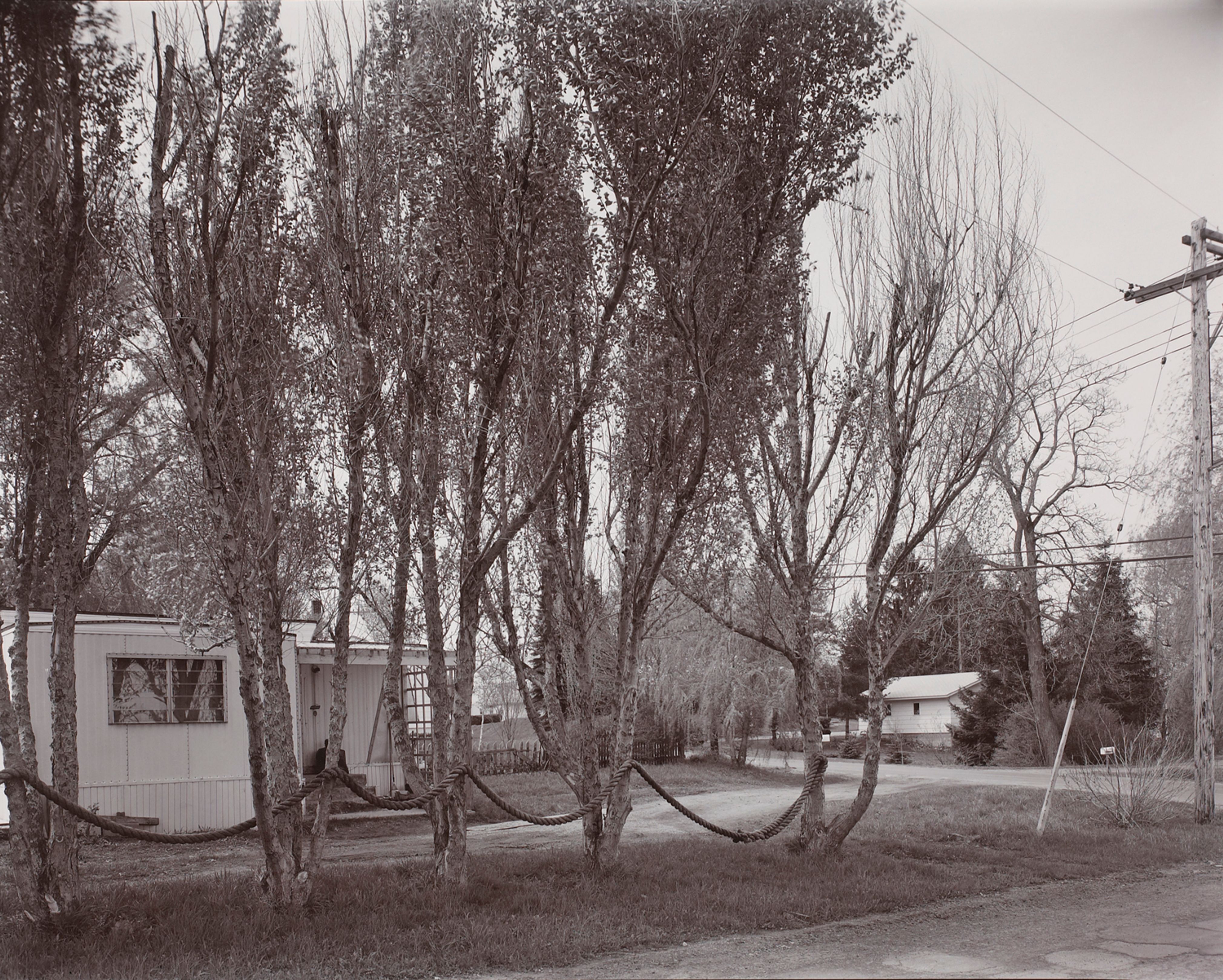 New York Roadside