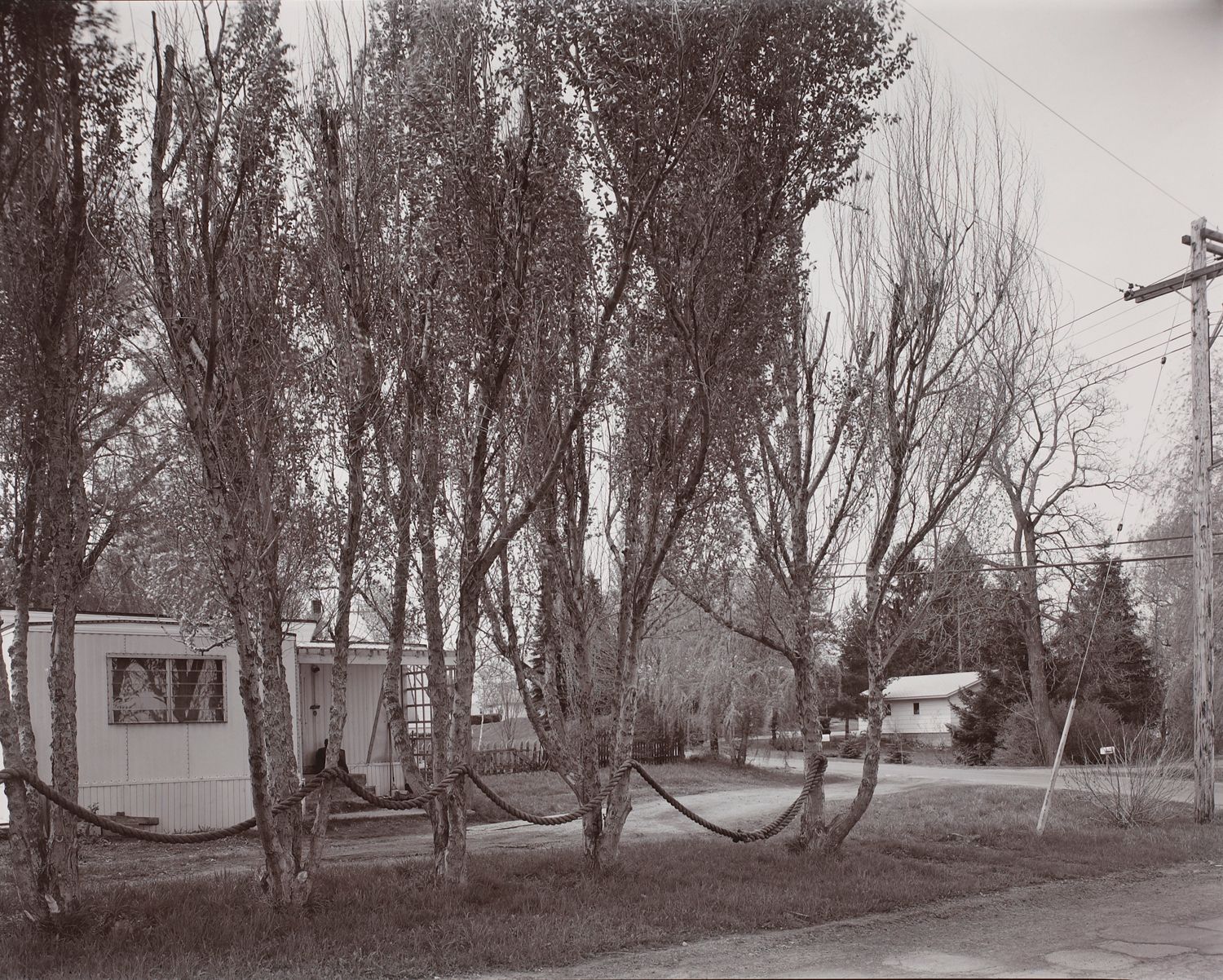 New York Roadside