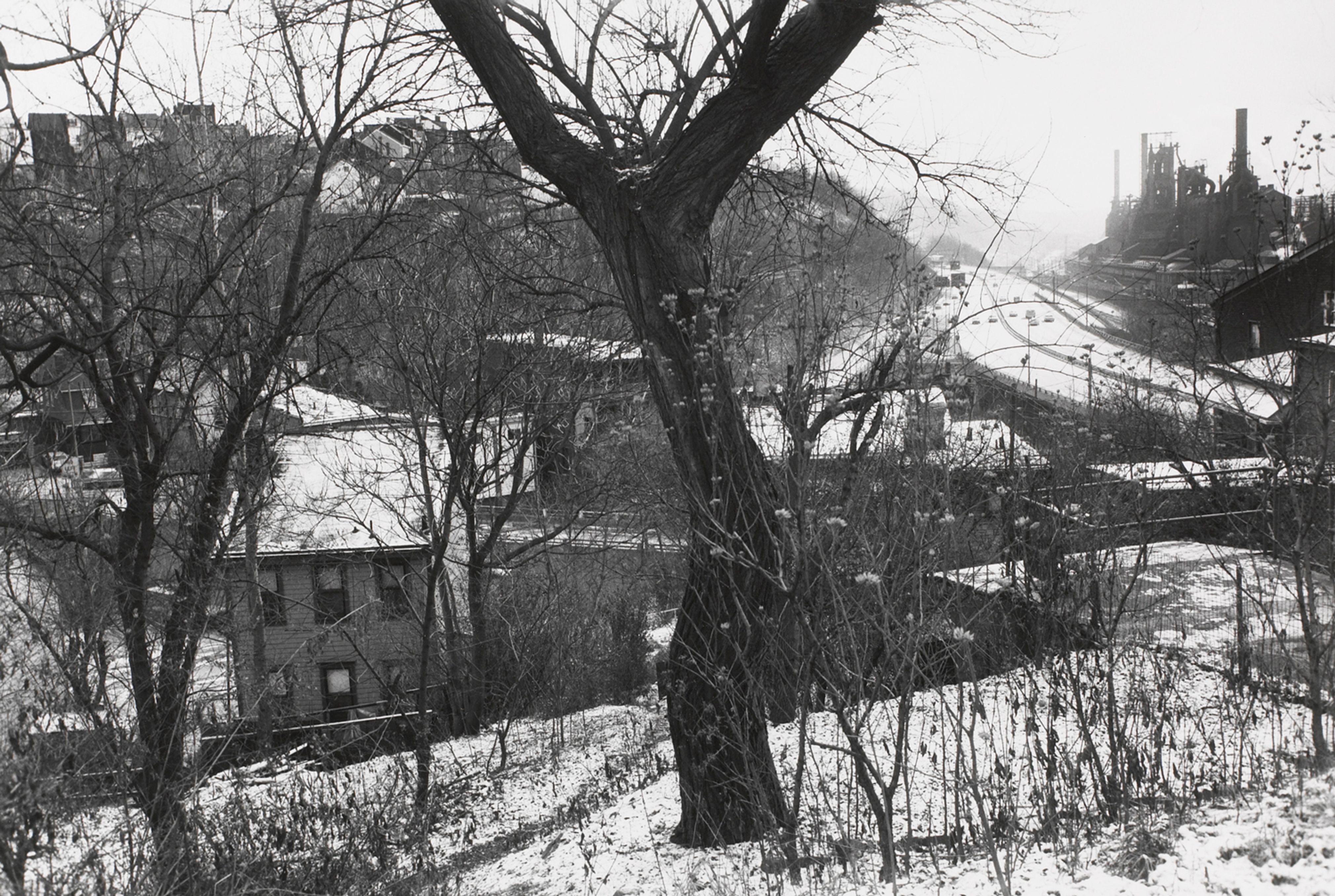 PITTSBURGH, PENNSYLVANIA (view through trees)