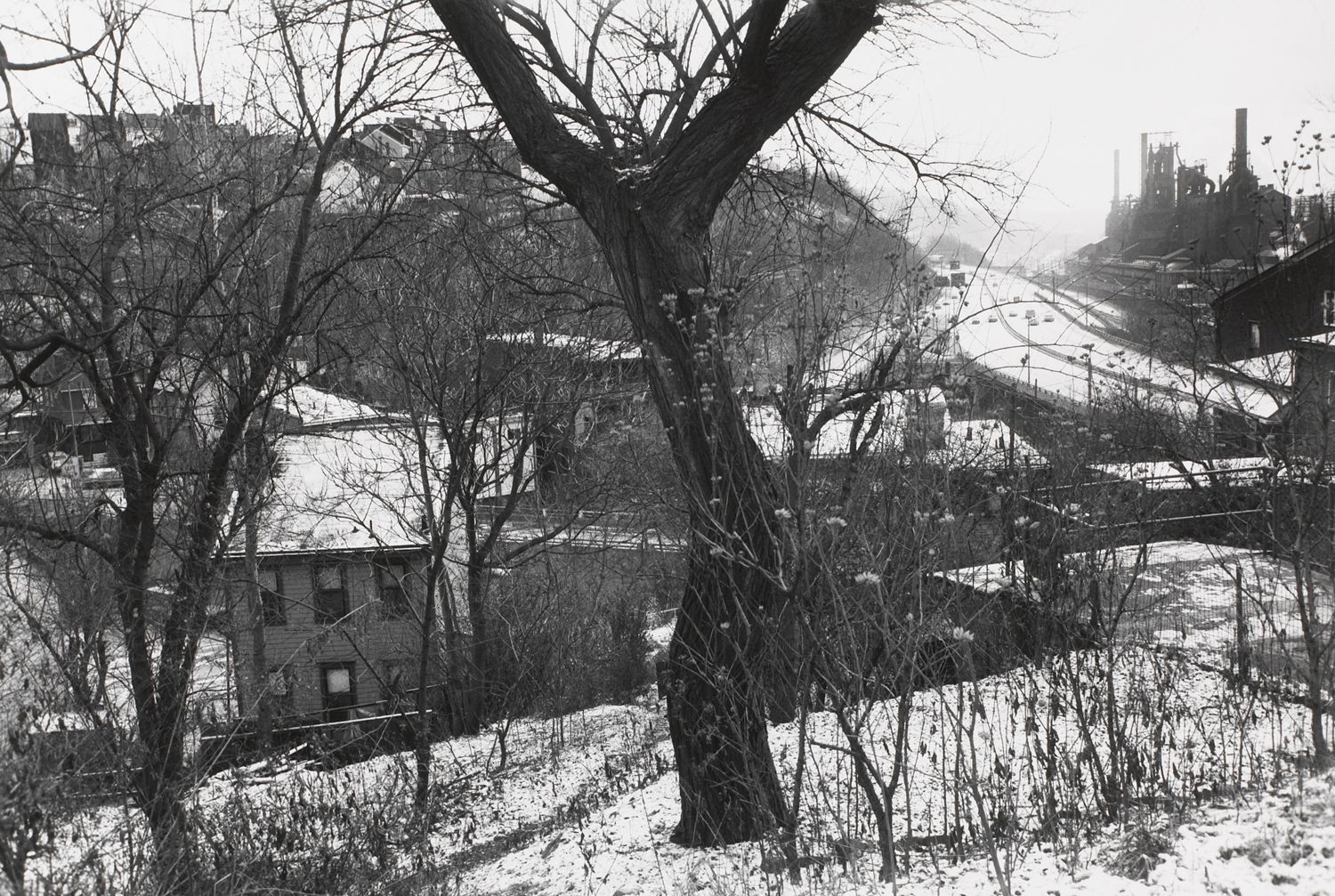 PITTSBURGH, PENNSYLVANIA (view through trees)