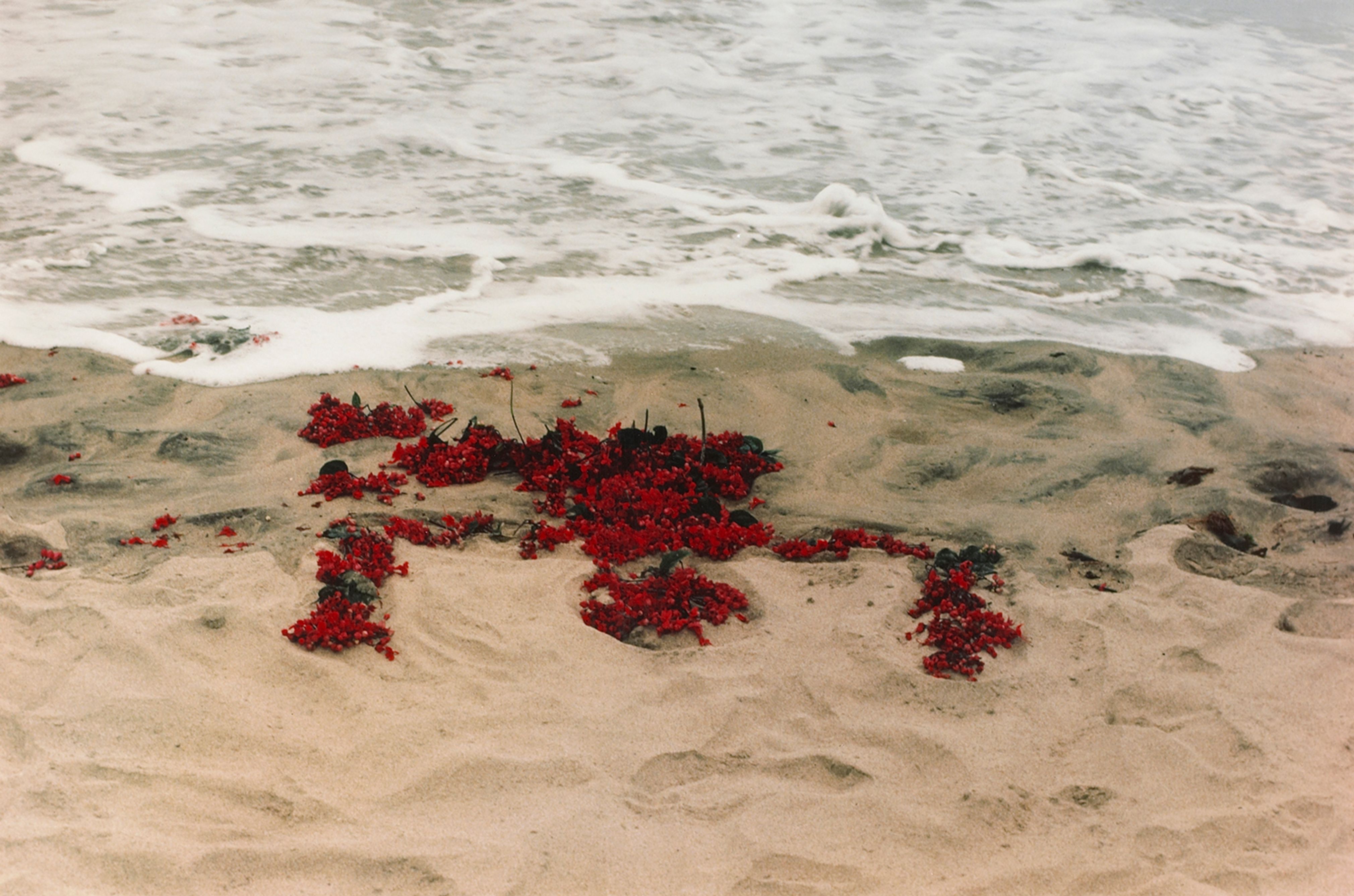 Silueta Works in Mexico