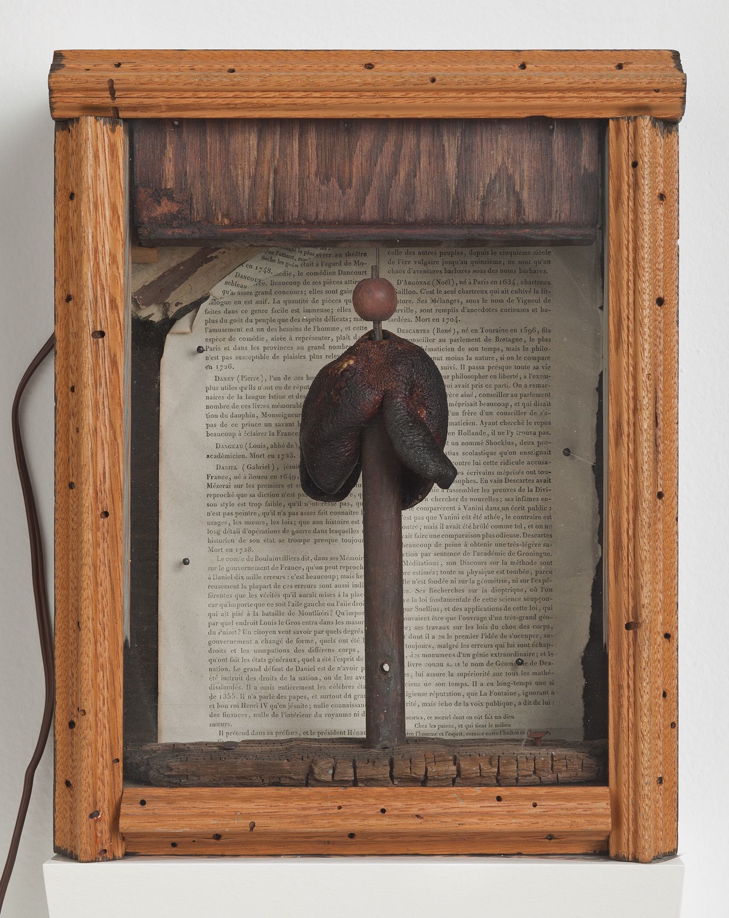Untitled (Toadstool on wood cylinder)