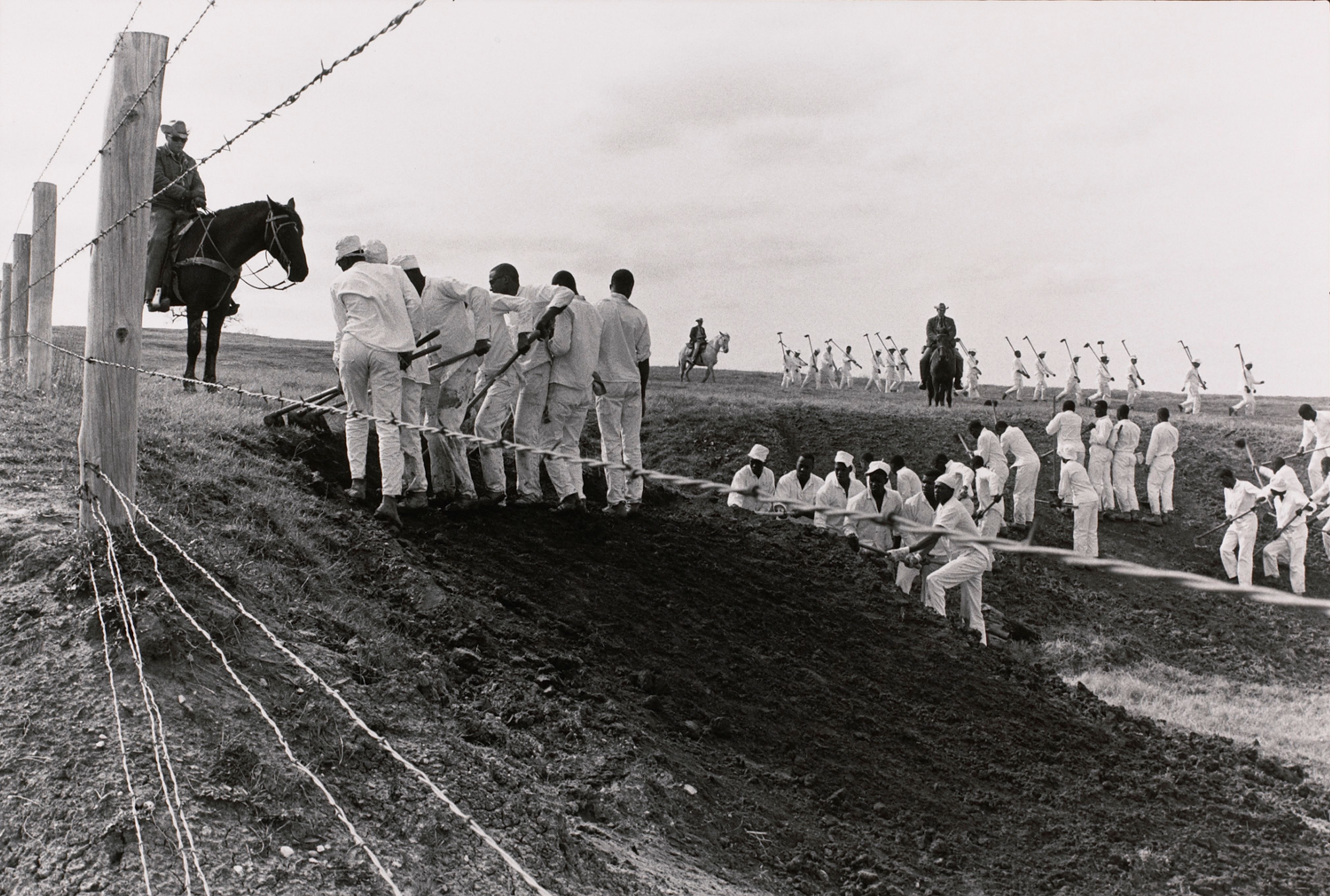 The line