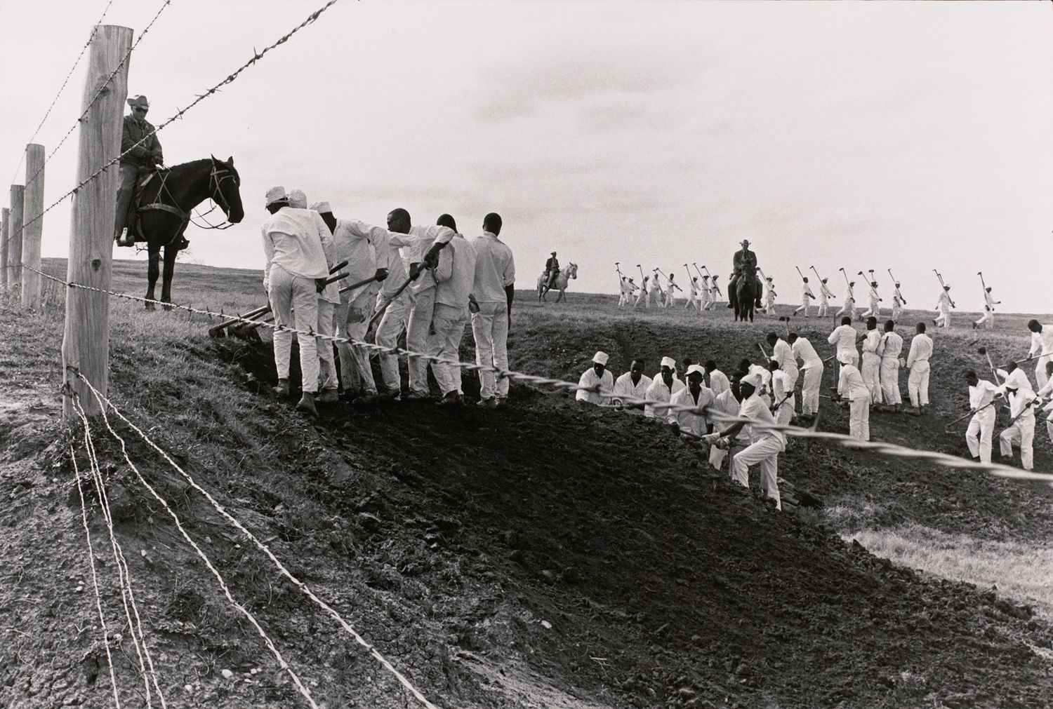 The line