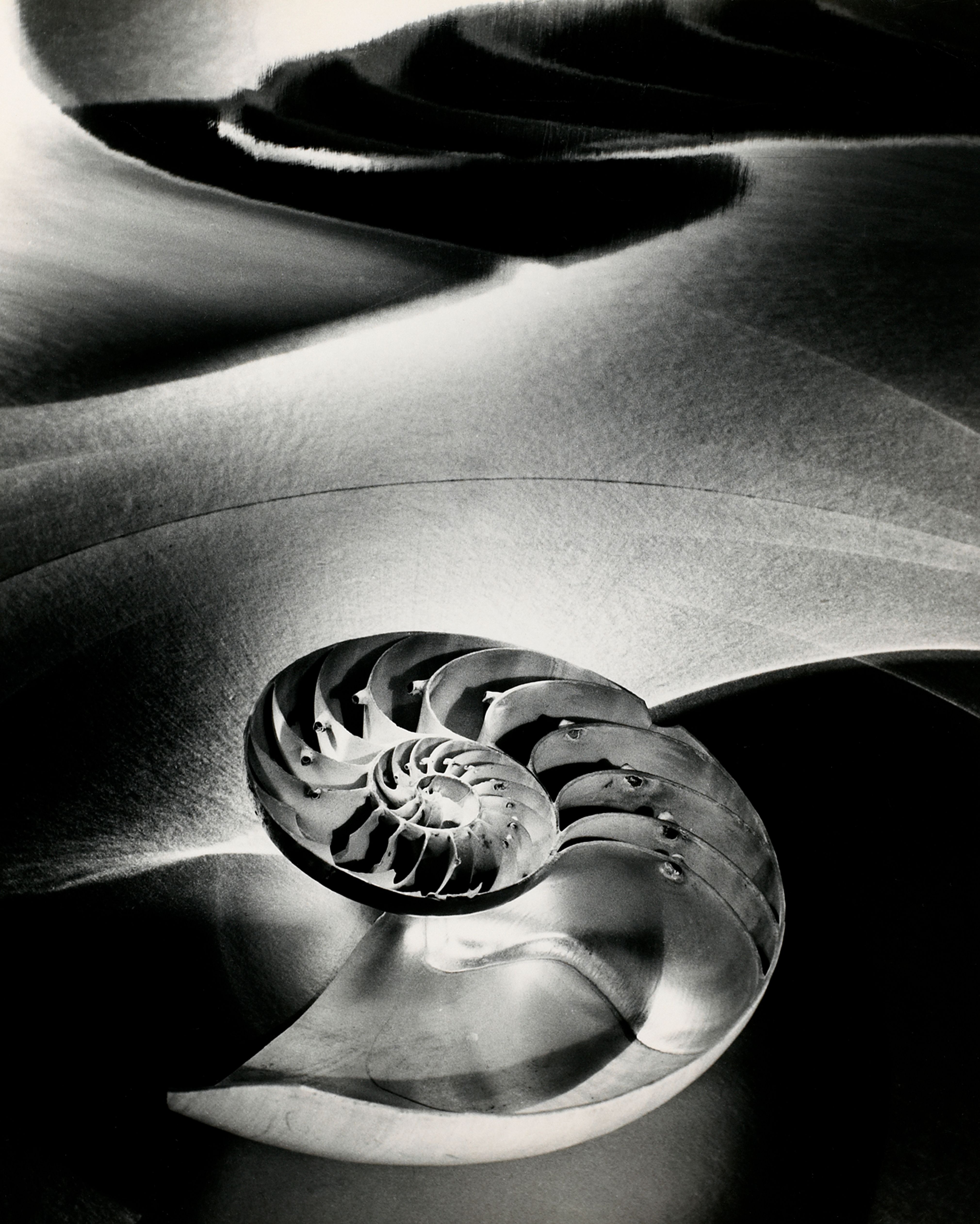 Halfred Nautilus