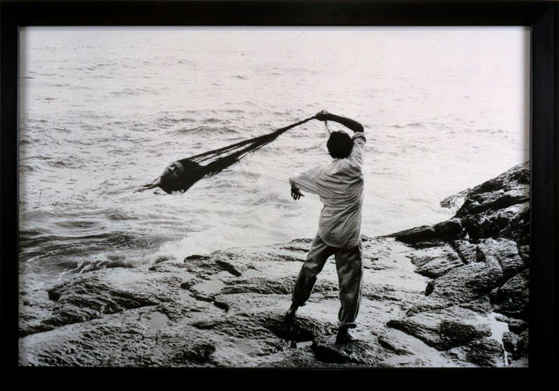 Seeding Mermaids (k)