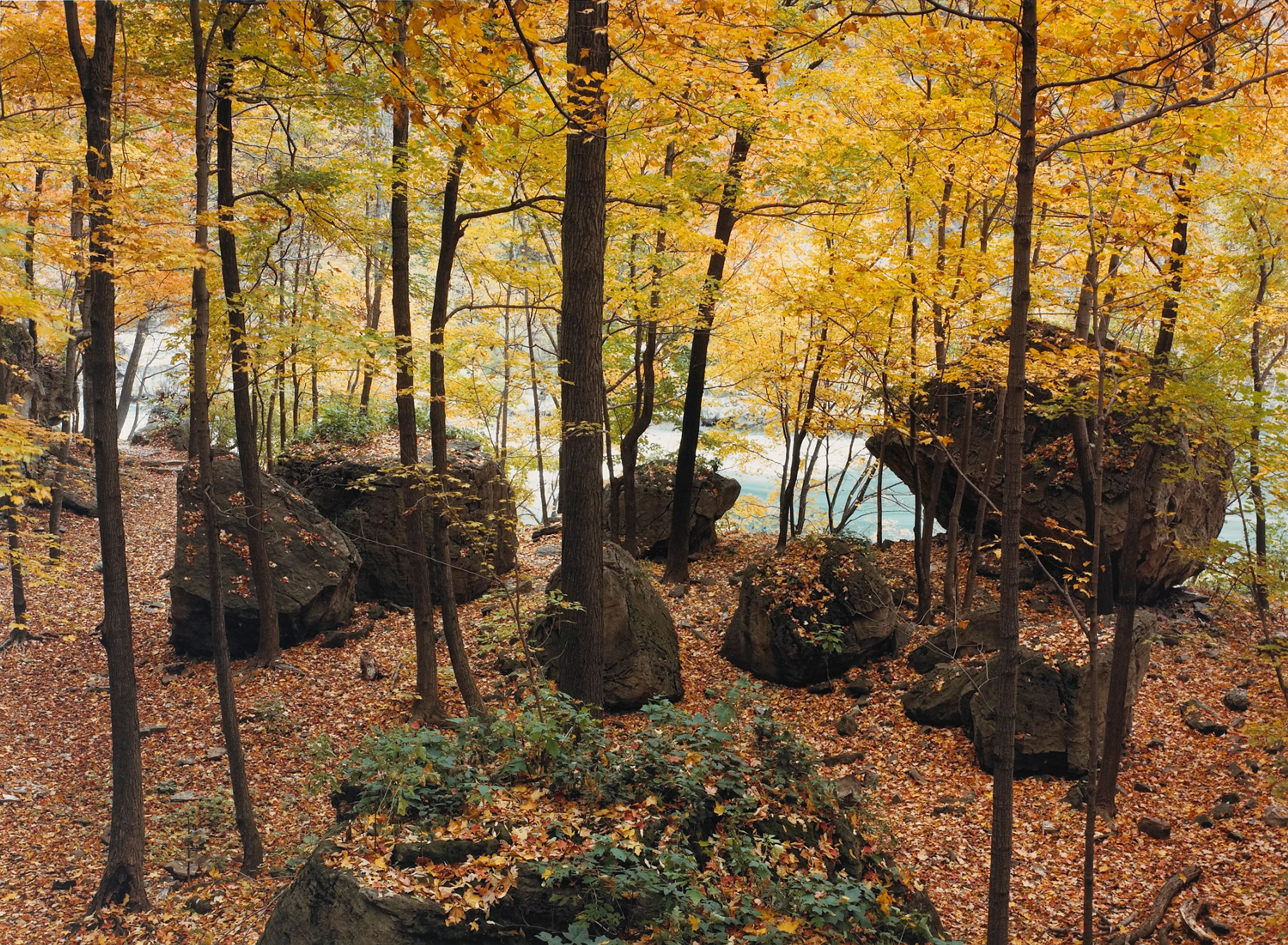 Niagra Glen Boulders
