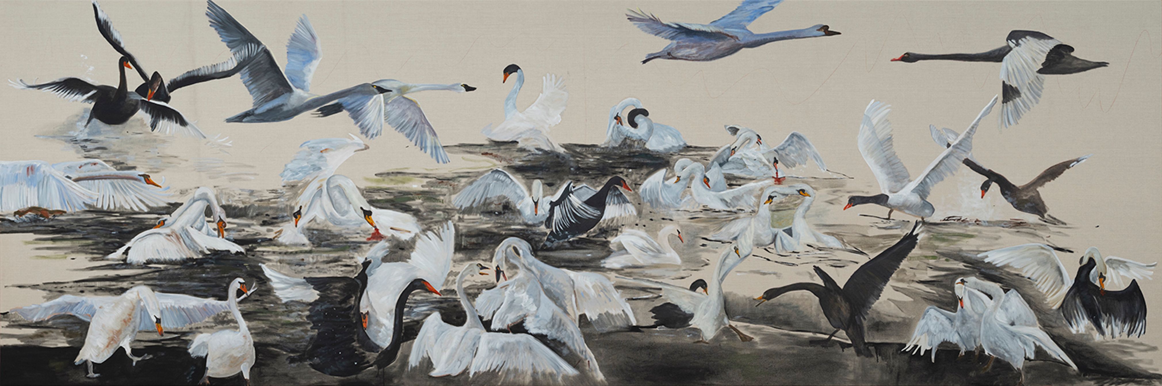 Swan Lake on the Radio
