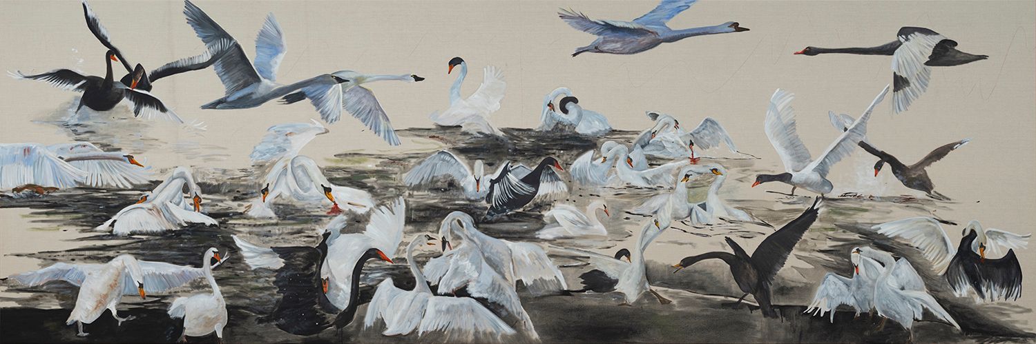 Swan Lake on the Radio