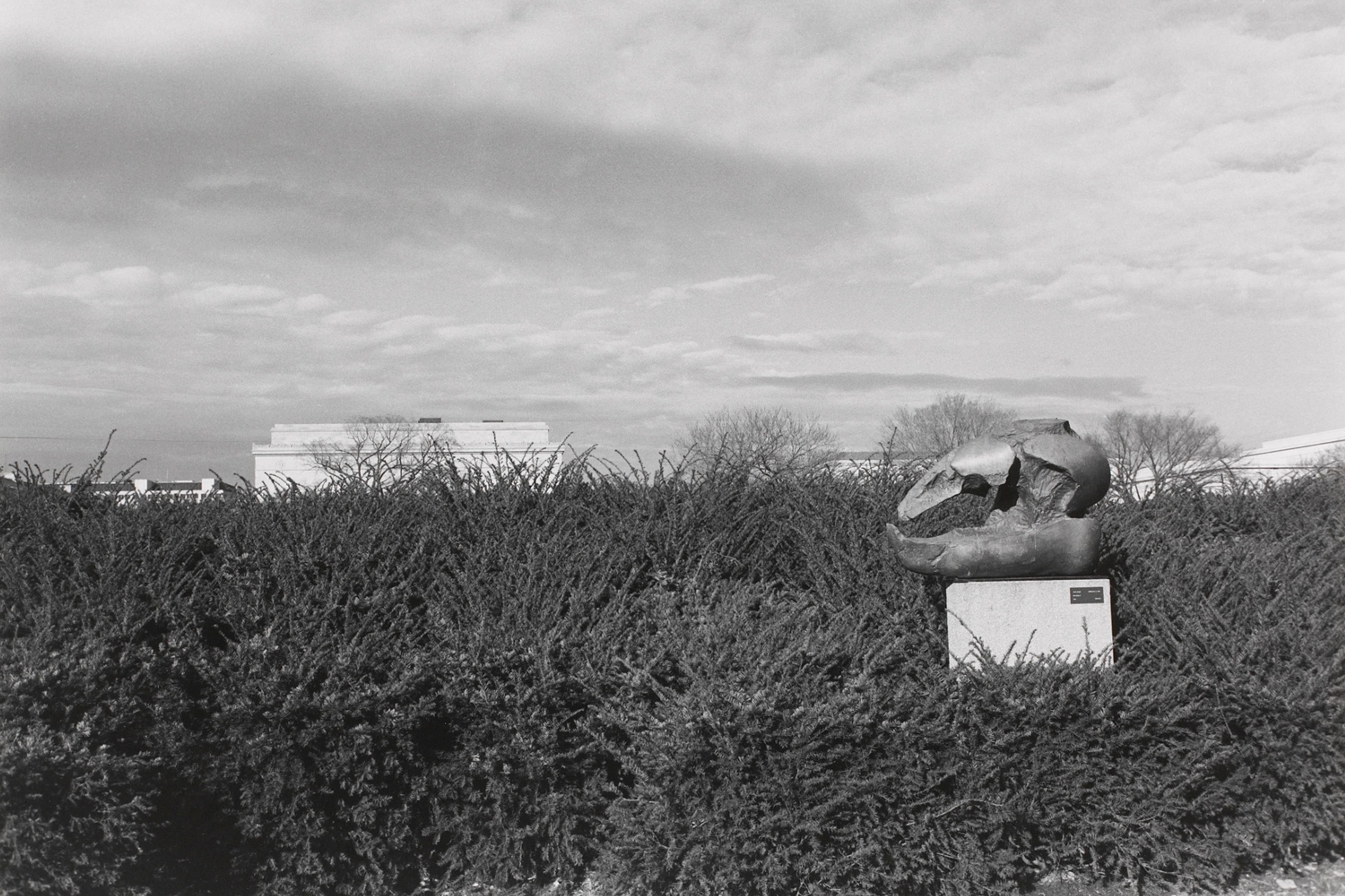 Untitled, Sculpture with Bush and Foot