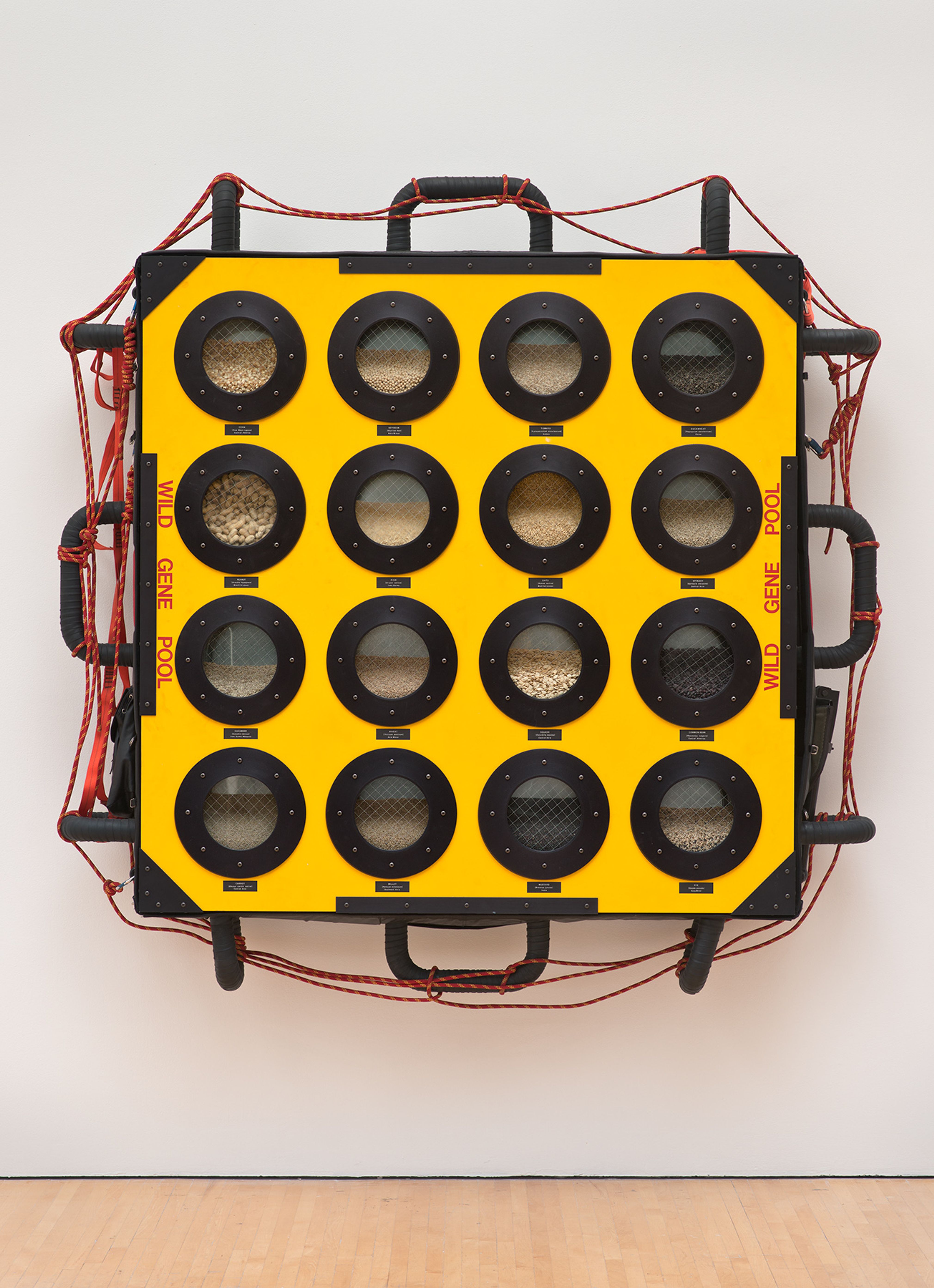 Wild Gene Pool: Ark #3